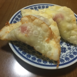 トマトとチーズの餃子